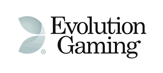 카지노 소프트웨어 제공업체 Evolution Gaming 에 대해서