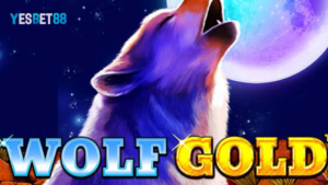 Wolf Gold™ Slot 소개